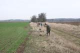 mme k�ka cserje�ltet�s 22